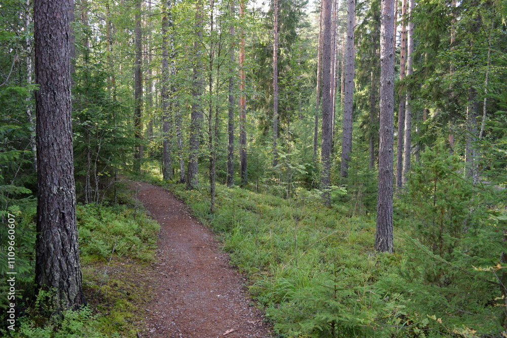 Obraz premium Nuuksio National Park