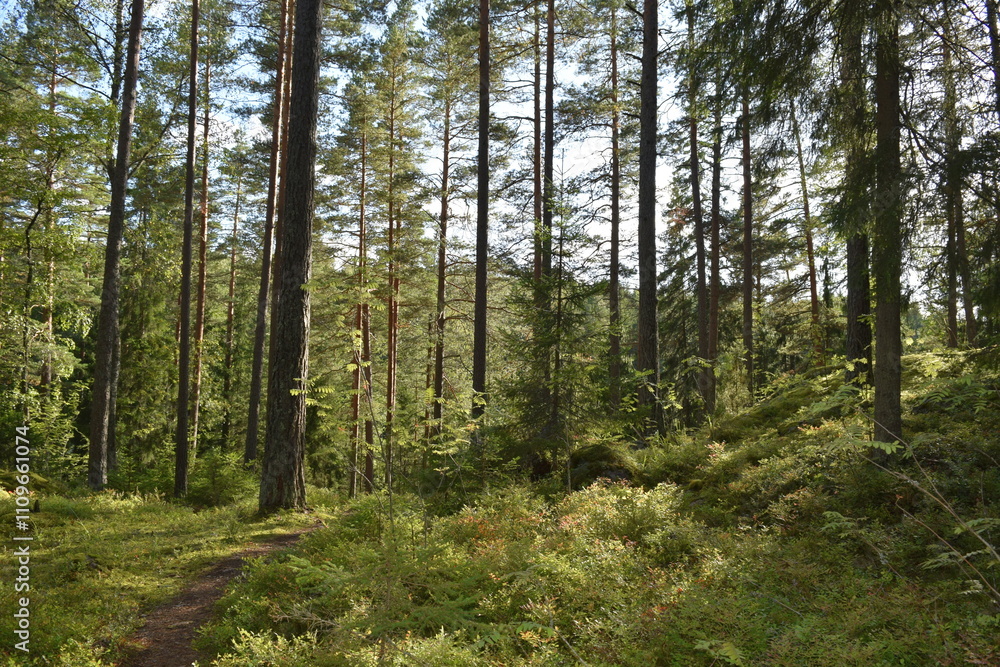 Nuuksio National Park Nuuksio National Park