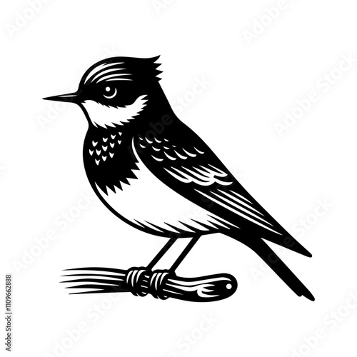 Simple Vector Icon of a Black-breasted Puffleg – Logo Design Illustration