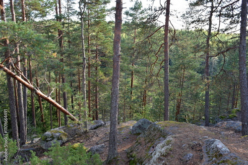 Nuuksio National Park photo