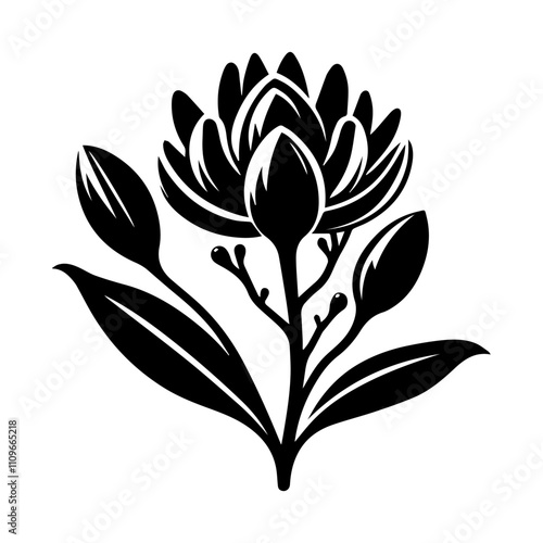 Simple Vector Icon of a Macleania spp – Logo Design Illustration