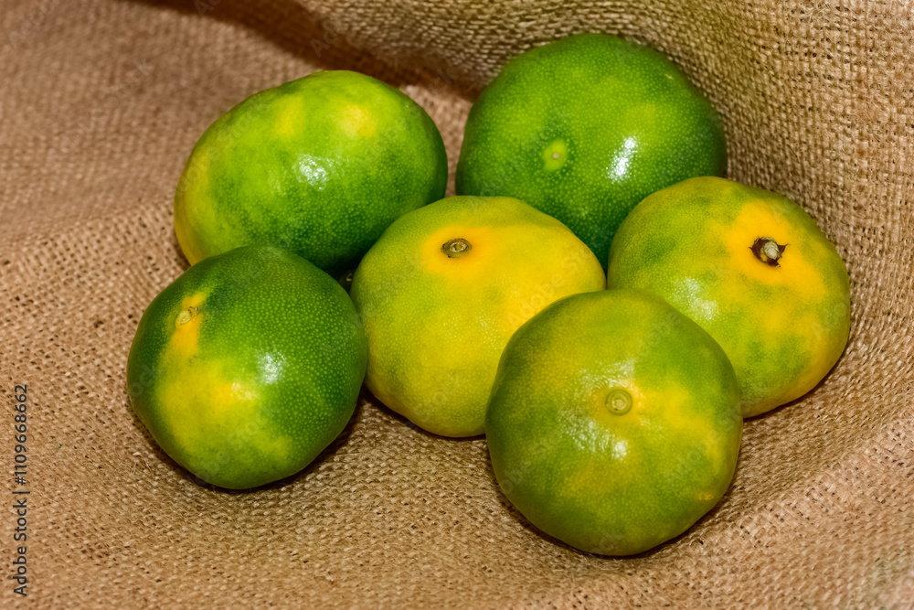 agricultural products. photos of various fruits agricultural products. photos of various fruits