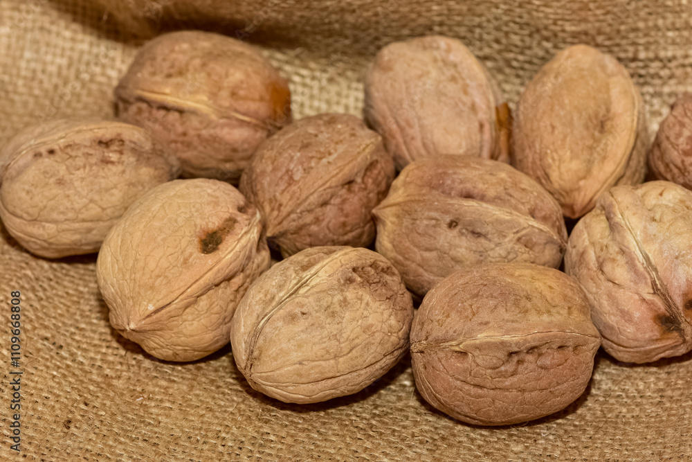 photos of walnuts with a natural shell photos of walnuts with a natural shell