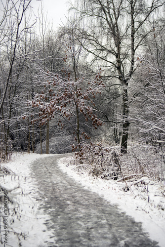 Wallpaper Mural serene winter landscape features a glistening icy path weaving between snow-covered trees, inviting exploration and evoking a sense of tranquility and wonder in nature's frozen beauty Torontodigital.ca