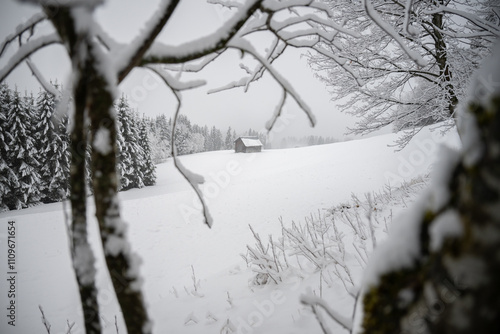 Winterlandschaft