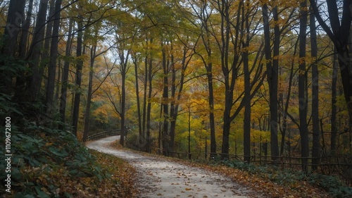 Paisaje forestal con camino de tierra curvo, árboles altos y denso follaje verde