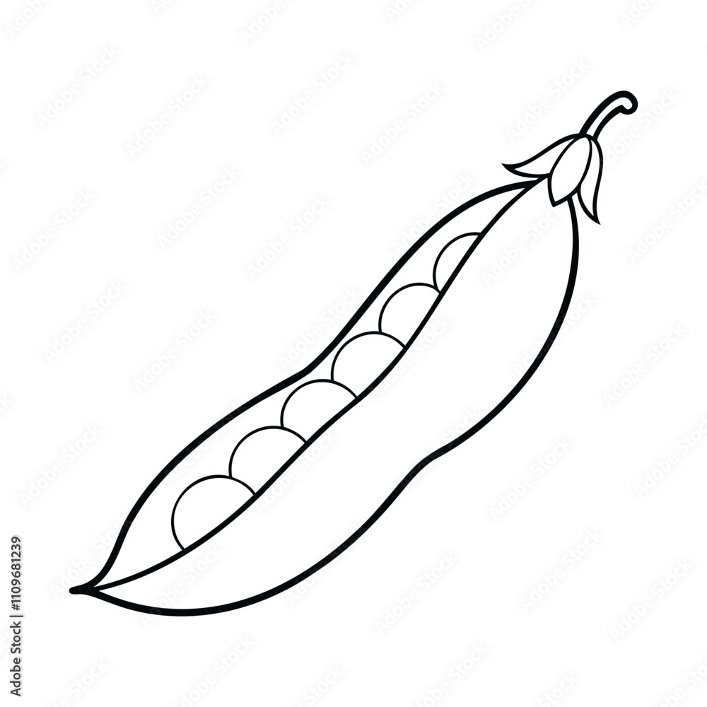 Black and white line art illustration of an open pea pod with peas inside Black and white line art illustration of an open pea pod with peas inside