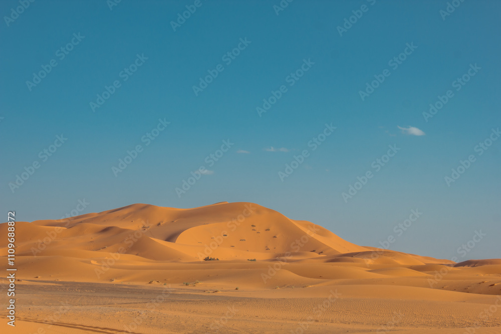 Merzouga dunes