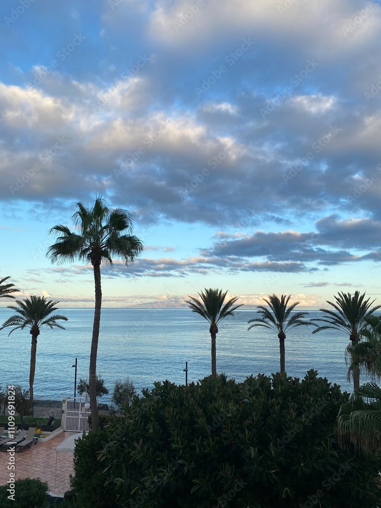 Fototapeta premium Palm trees