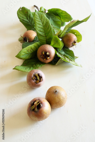 Ramo con nespole e nespole isolate su sfondo bianco. Frutti autunnali sani. Mespilus germanica. photo