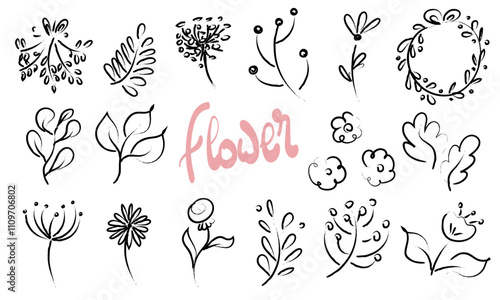 Ensemble de fleurs dessinées à la main sur fond blanc isolé. Illustration botanique. Illustration de fleur. Image vectorielle