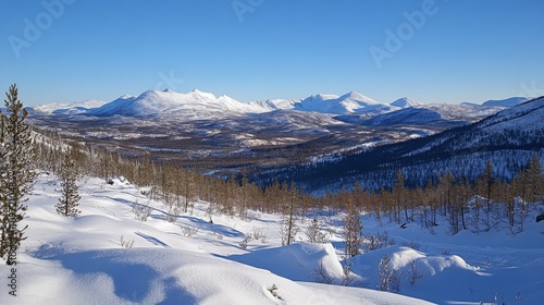 Wallpaper Mural Snowy Mountain Range with a Forest Valley Below Torontodigital.ca
