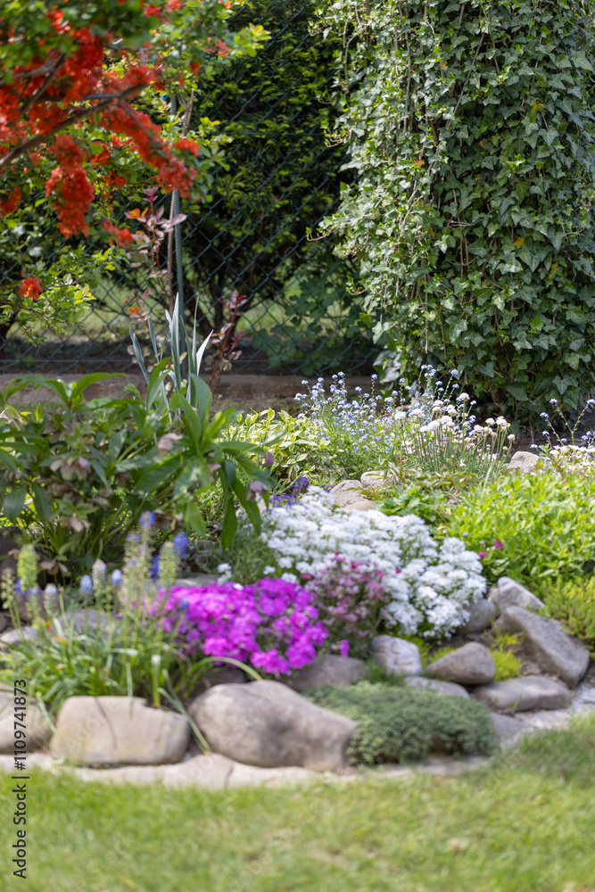 Beautiful colorful spring rock garden, blooming flowers