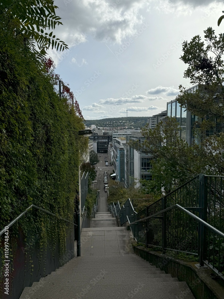 view of the city of the city