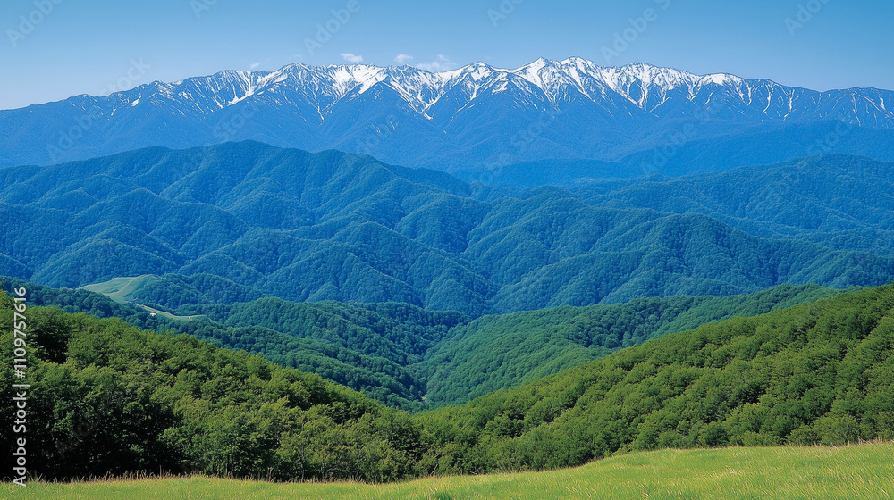 Naklejka premium The Mountains