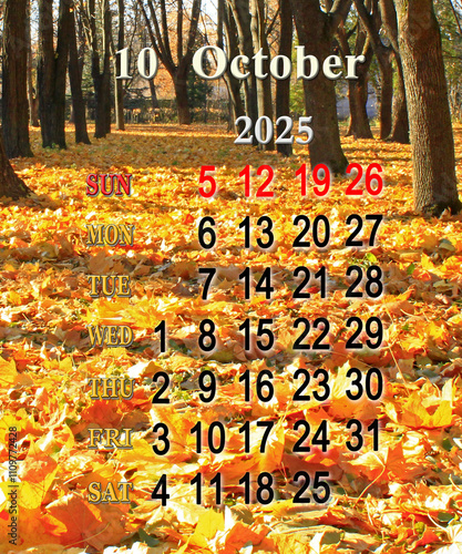 Business organizer. October 2025 calendar with image of trees in yellow leaves