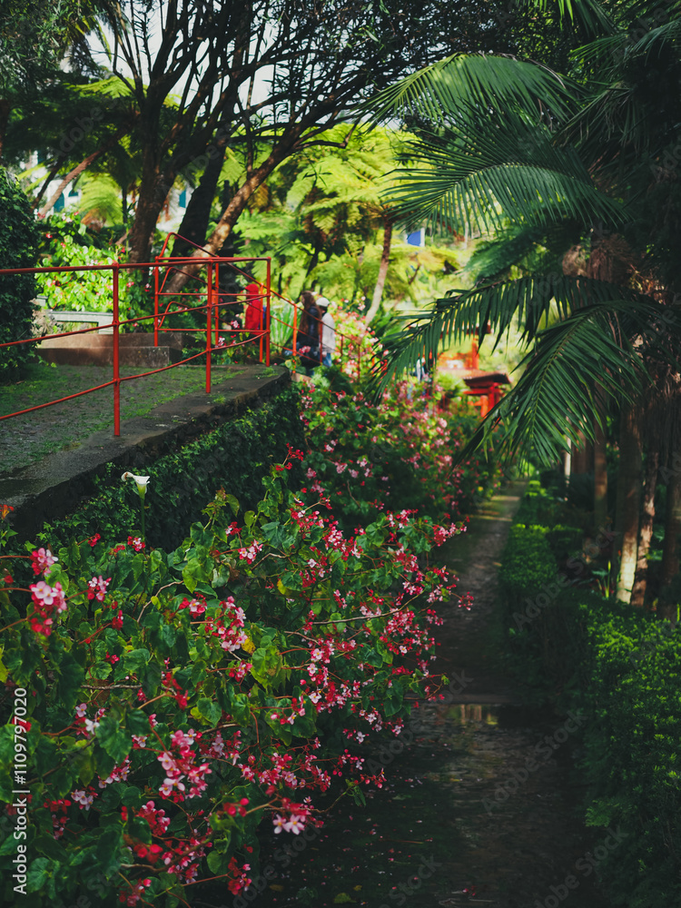 Obraz premium garden of flowers