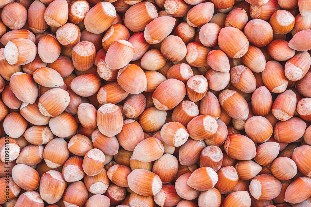 A close-up shot of freshly picked hazelnuts A close-up shot of freshly picked hazelnuts