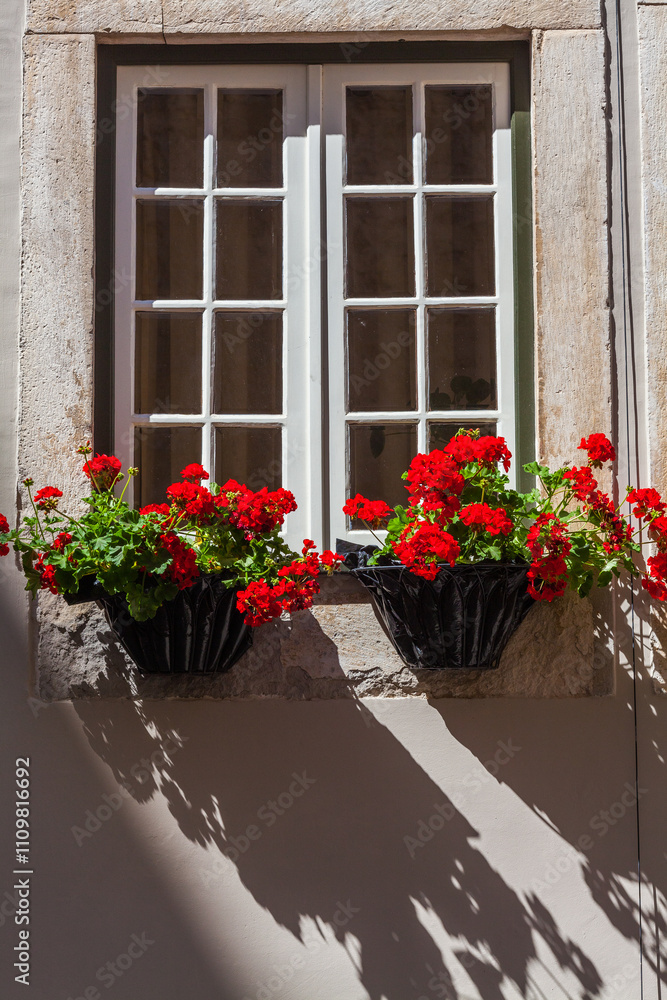 Fototapeta premium A window adorned with colorful flowers, adding a touch of beauty to the historic architecture of Coimbra