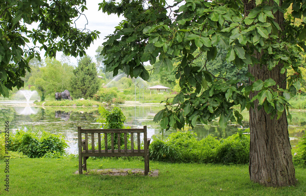bench in the park with ponds and walkways bench in the park with ponds and walkways