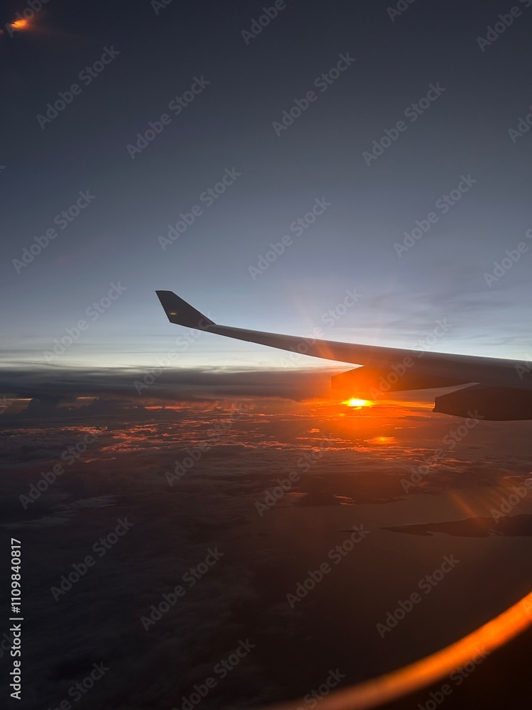 Airplane Airplane