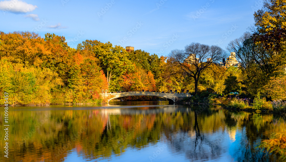 Central Park as captured on 11-9-2019 during the peak of Fall. Central Park as captured on 11-9-2019 during the peak of Fall.