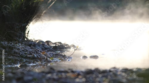 fog and light mist on the surface of the river adda