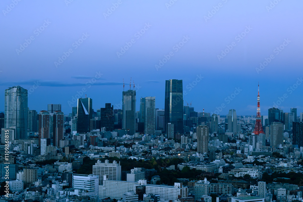 Obraz premium 東京の夕暮れ時を展望台から眺める