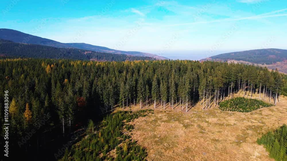Aerial view, drone flying over trees in fall - Colorado Springs, Colorado Aerial view, drone flying over trees in fall - Colorado Springs, Colorado