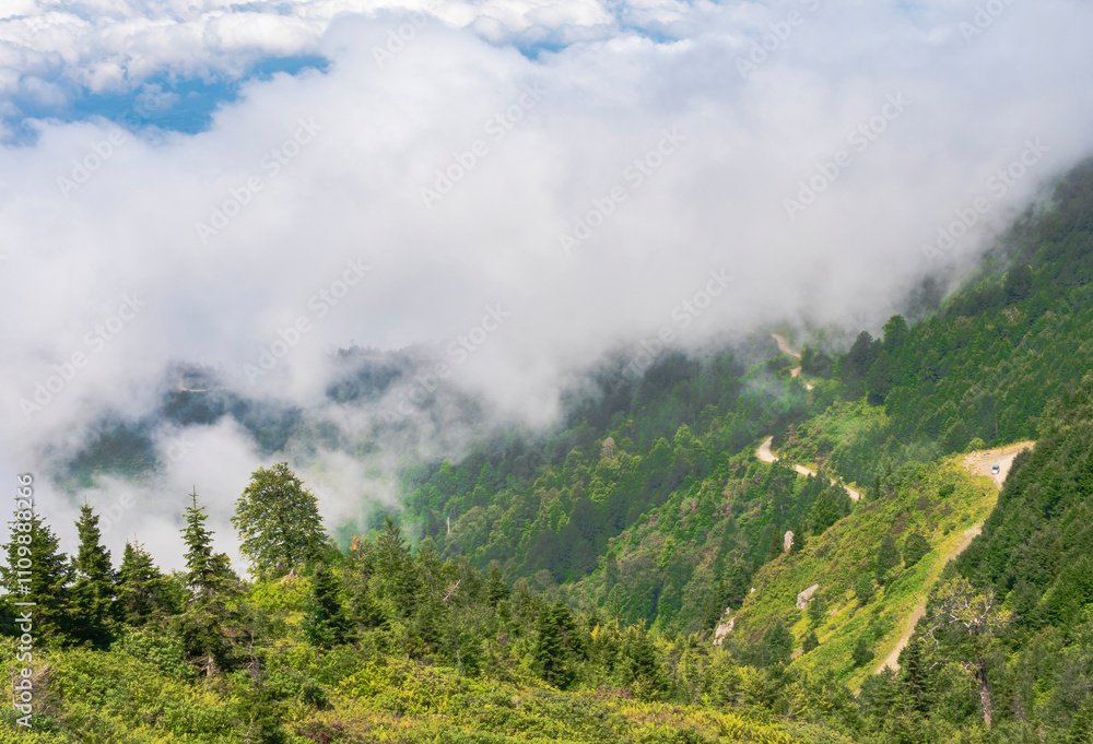 Bright clouds hover above a lush mountain landscape under clear blue skies Bright clouds hover above a lush mountain landscape under clear blue skies
