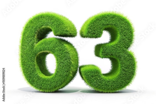 Natural Number 63 Grass Design Isolated White Background