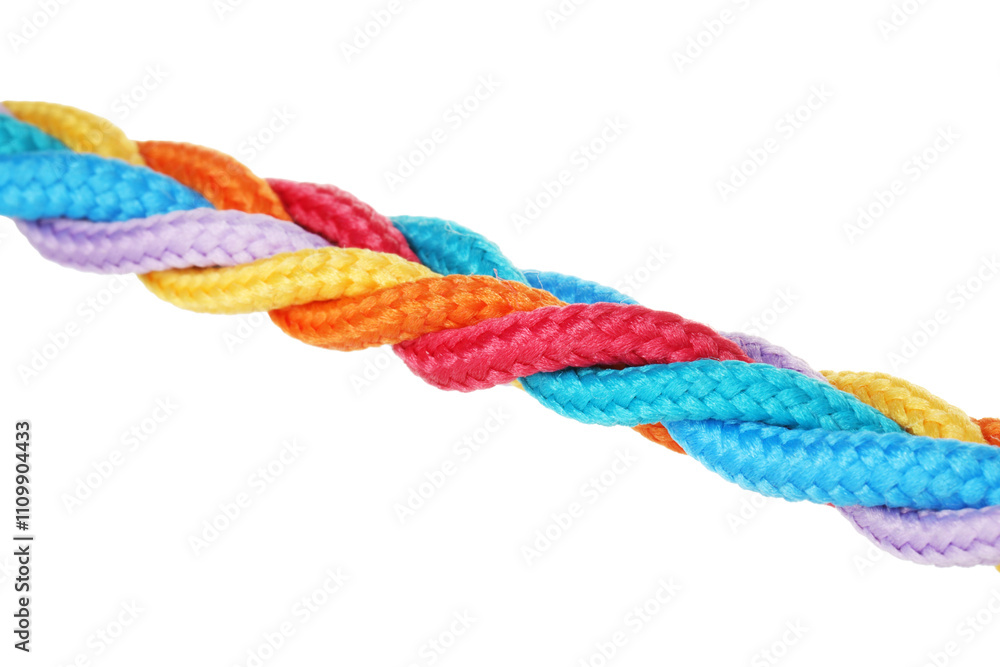 Braided colorful ropes isolated on white. Unity concept Braided colorful ropes isolated on white. Unity concept