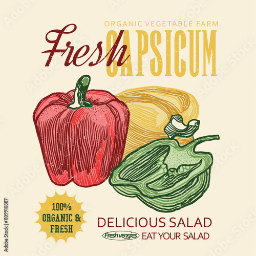 Capsicum vector. Capsicum Print. hand drawn fruit. food fashion. fashion graphic. printing design. fresh vegies. girls graphic. women's tee. t shirt design. summer t shirt design.