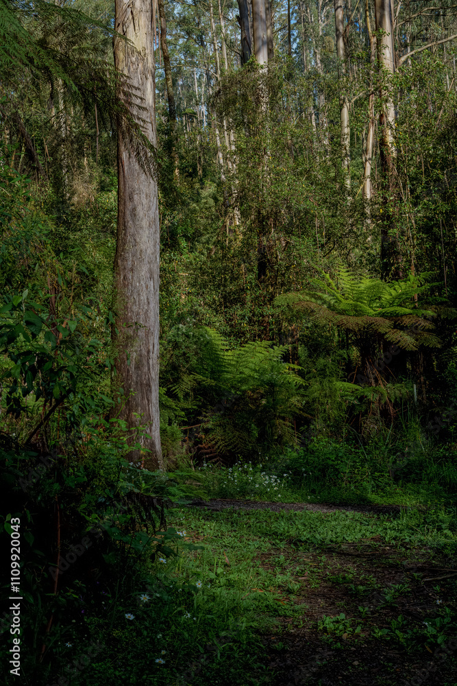 Fototapeta premium landscape shot of flora and fauna in the forest
