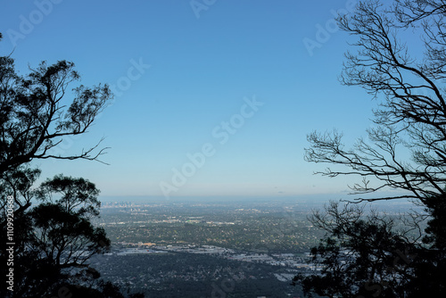 landscape shot of flora and fauna in the forest