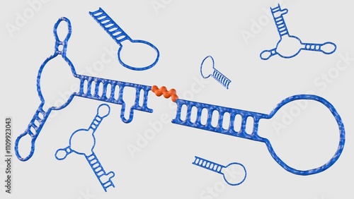 3D rendering of an aptamer-shRNA chimera, a novel therapeutic platform leveraging the specificity of aptamers and the potency of RNA interference. photo