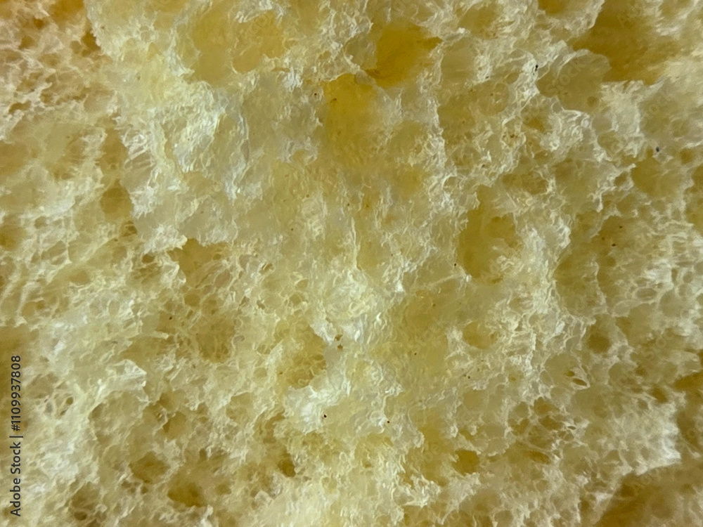 close up golden cake texture. cake texture background. close up golden cake texture. cake texture background.