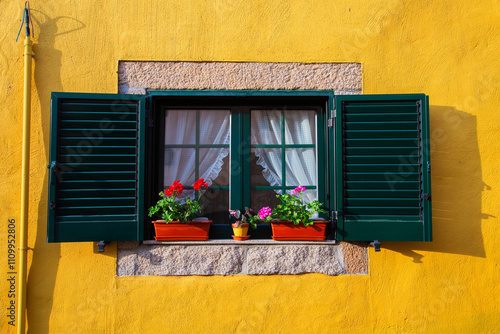 Open green window shutters revealing white lace curtains and colorful geraniums decorating a vibrant yellow facade in tarouca, portugal, create a charming and picturesque scene photo