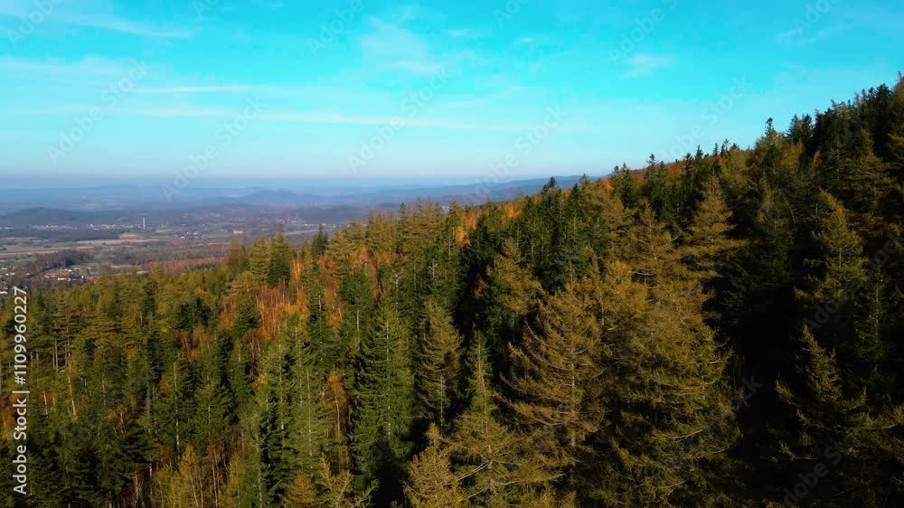 beautiful video drone over trees mountains pines autumn beautiful video drone over trees mountains pines autumn