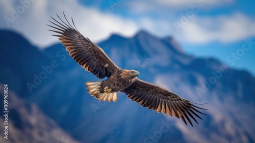 Eagle soaring high against a blue sky.