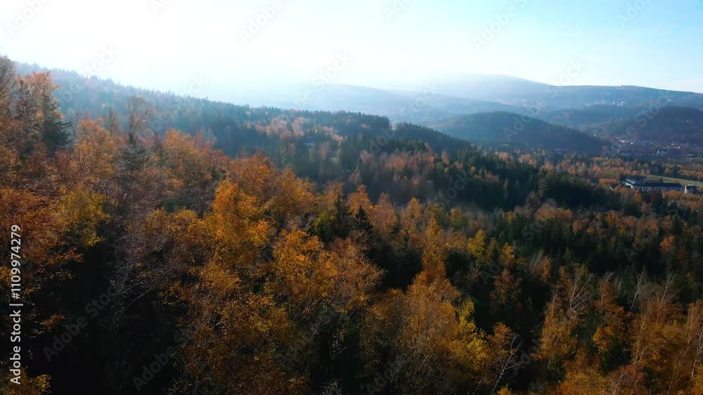 beautiful video drone over trees mountains pines autumn beautiful video drone over trees mountains pines autumn
