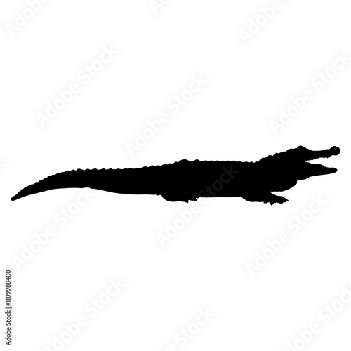 Crocodile