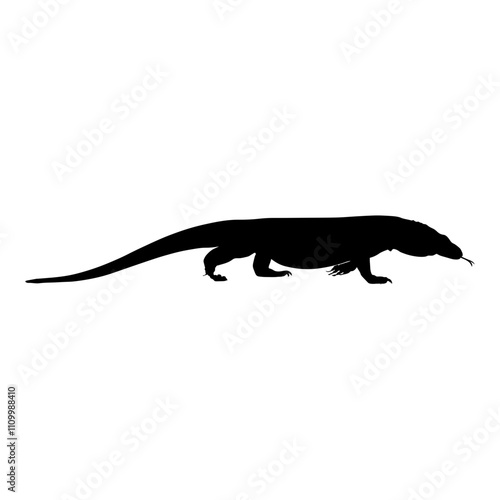 Komodo Dragon