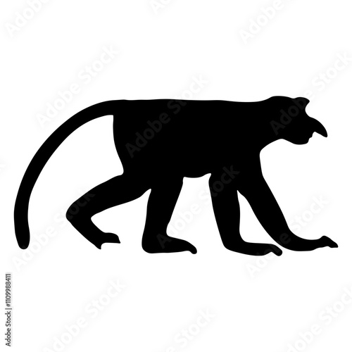 Proboscis Monkey