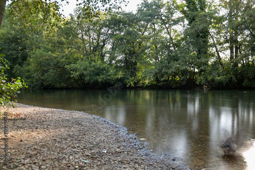 River Carrion in the El Plantio Park in the city of Carrion de los Condes in Palencia, Spain in 2024. photo