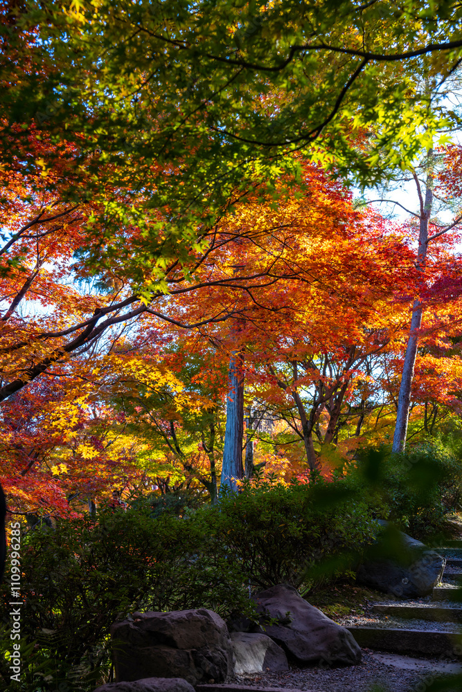 東福寺の紅葉