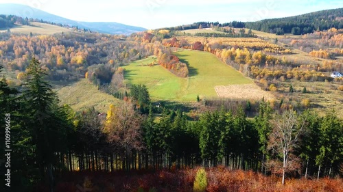 Wallpaper Mural beautiful video drone over trees mountains pines autumn Torontodigital.ca