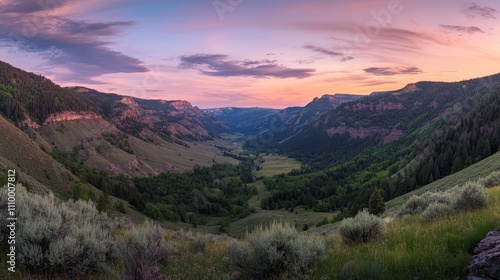 A valley with a mountain range in the background