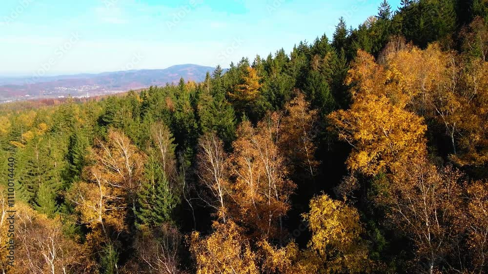 Aerial: Drone Downward Beautyful Shot Of Autumn Trees By Mountains In National Park - Aspen, Colorado Aerial: Drone Downward Beautyful Shot Of Autumn Trees By Mountains In National Park - Aspen, Colorado