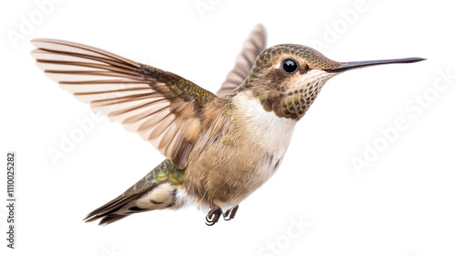 A close-up of a hummingbird in mid-flight, showcasing its iridescent feathers and rapid wing movement. photo